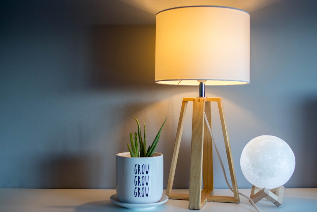 Choosing the right light bulb for your lamp | Interior Designer Utah | Desk lamp with plant
